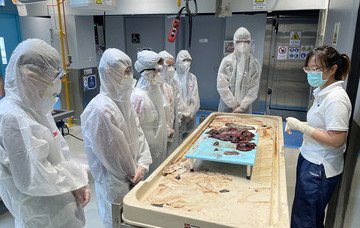 「快樂保‧旅」計劃：中學生科研保育活動陸續推展