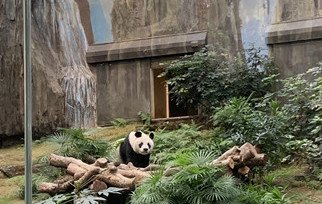 「快樂保‧旅」計劃：小學生親子活動學習生命教育