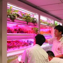 Mr. and Mrs. Wilson Pong Wai San Charity Fund