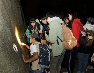 怪奇生物觀察員