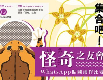 集合吧！怪奇之友會