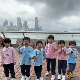我们看到很多不同的船。