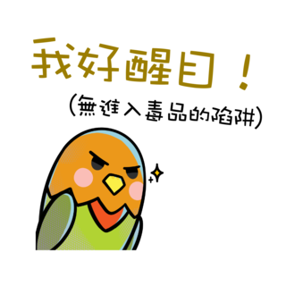 陳梓俞（中華基督教會基真小學）